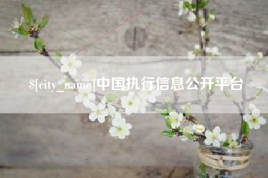 莆田中国执行信息公开平台