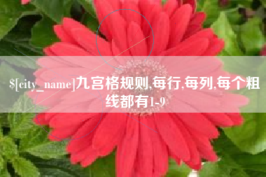 莆田九宫格规则,每行,每列,每个粗线都有1-9