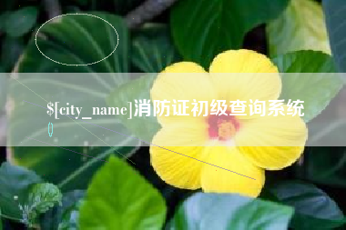 莆田消防证初级查询系统