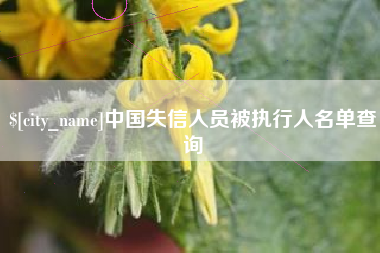莆田中国失信人员被执行人名单查询