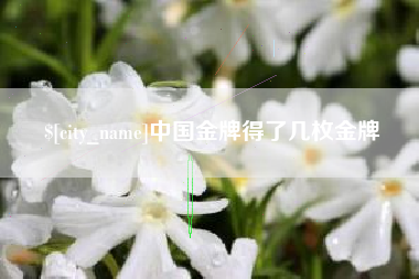 莆田中国金牌得了几枚金牌