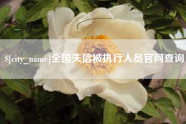莆田全国失信被执行人员官网查询