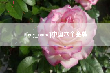 莆田中国六个金牌