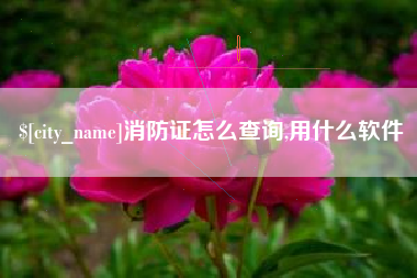 莆田消防证怎么查询,用什么软件