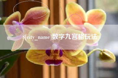 莆田数字九宫格玩法