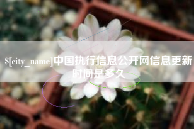 莆田中国执行信息公开网信息更新时间是多久