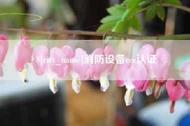 莆田消防设备ccc认证