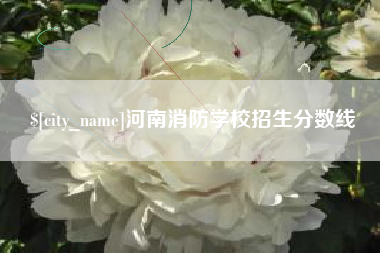 莆田河南消防学校招生分数线