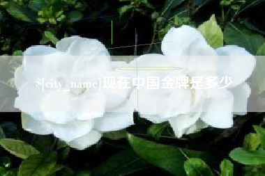 莆田现在中国金牌是多少