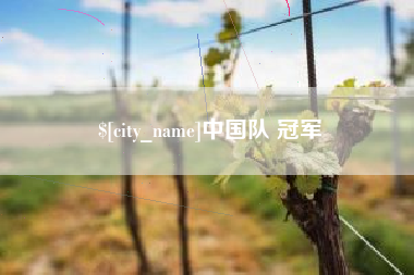 莆田中国队 冠军