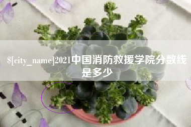 莆田2021中国消防救援学院分数线是多少