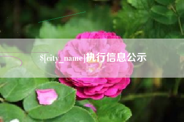 莆田执行信息公示
