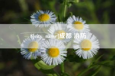 莆田成都 消防