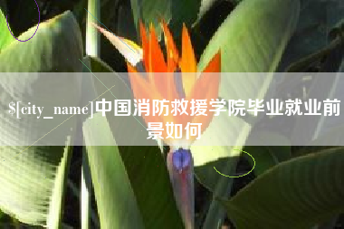 莆田中国消防救援学院毕业就业前景如何