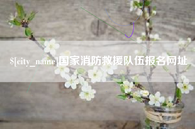 莆田国家消防救援队伍报名网址