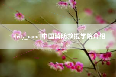 莆田中国消防救援学院介绍