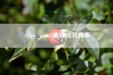 莆田金牌图片真实