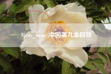 莆田中国第九金回放