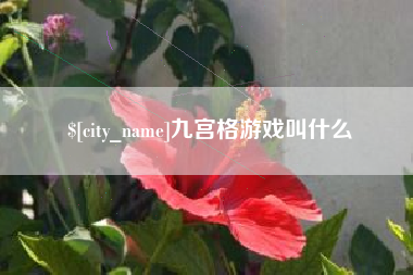 莆田九宫格游戏叫什么