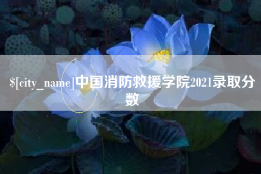 莆田中国消防救援学院2021录取分数