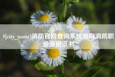 莆田消防官网查询系统查询消防职业资格证书