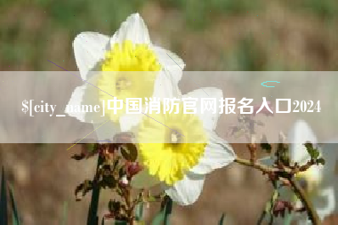莆田中国消防官网报名入口2024