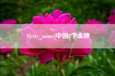 莆田中国9个金牌