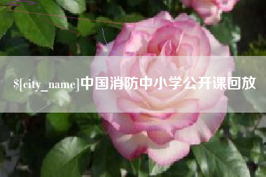 莆田中国消防中小学公开课回放