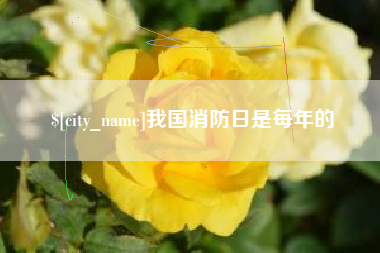 莆田我国消防日是每年的