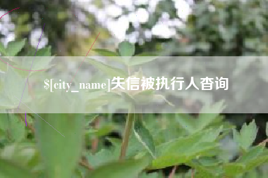 莆田失信被执行人杳询