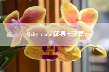 莆田邱县王子磊