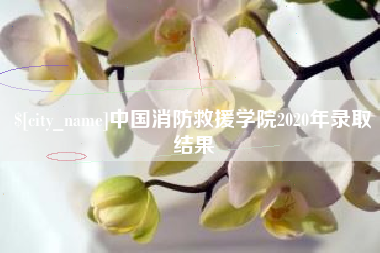 莆田中国消防救援学院2020年录取结果