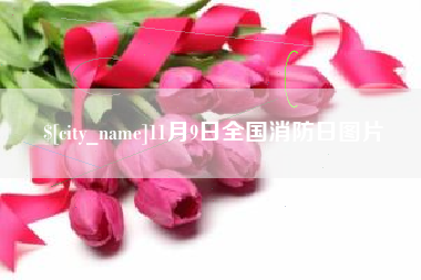 莆田11月9日全国消防日图片