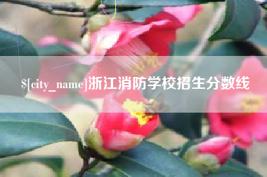 莆田浙江消防学校招生分数线
