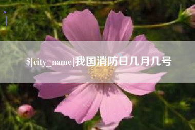 莆田我国消防日几月几号