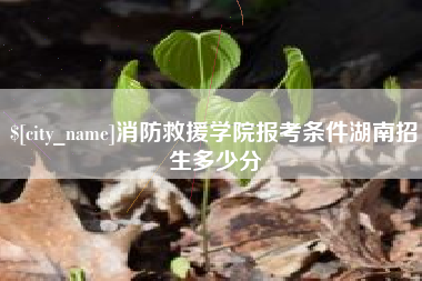 莆田消防救援学院报考条件湖南招生多少分