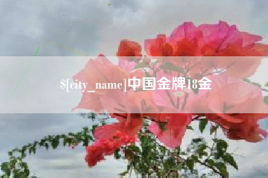 莆田中国金牌18金
