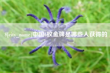莆田中国6枚金牌是哪些人获得的
