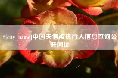 莆田中国失信被执行人信息查询公开网址