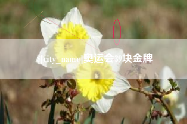 莆田奥运会39块金牌