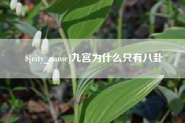 莆田九宫为什么只有八卦
