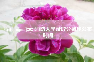 莆田2024消防大学录取分数线公布时间