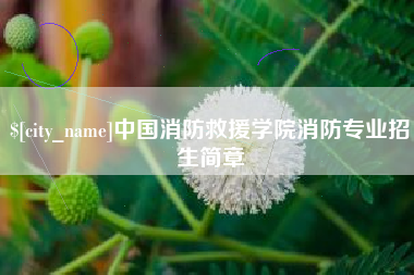 莆田中国消防救援学院消防专业招生简章