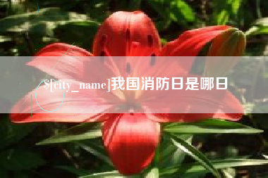 莆田我国消防日是哪日