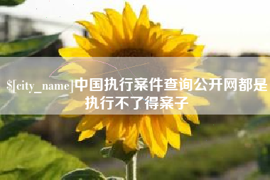 莆田中国执行案件查询公开网都是执行不了得案子