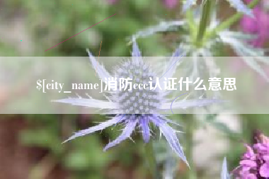 莆田消防ccc认证什么意思