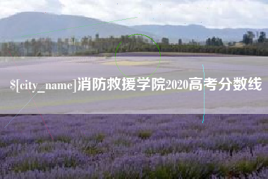 莆田消防救援学院2020高考分数线