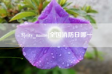 莆田全国消防日哪一