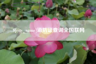莆田消防证查询全国联网