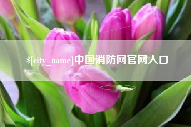 莆田中国消防网官网入口